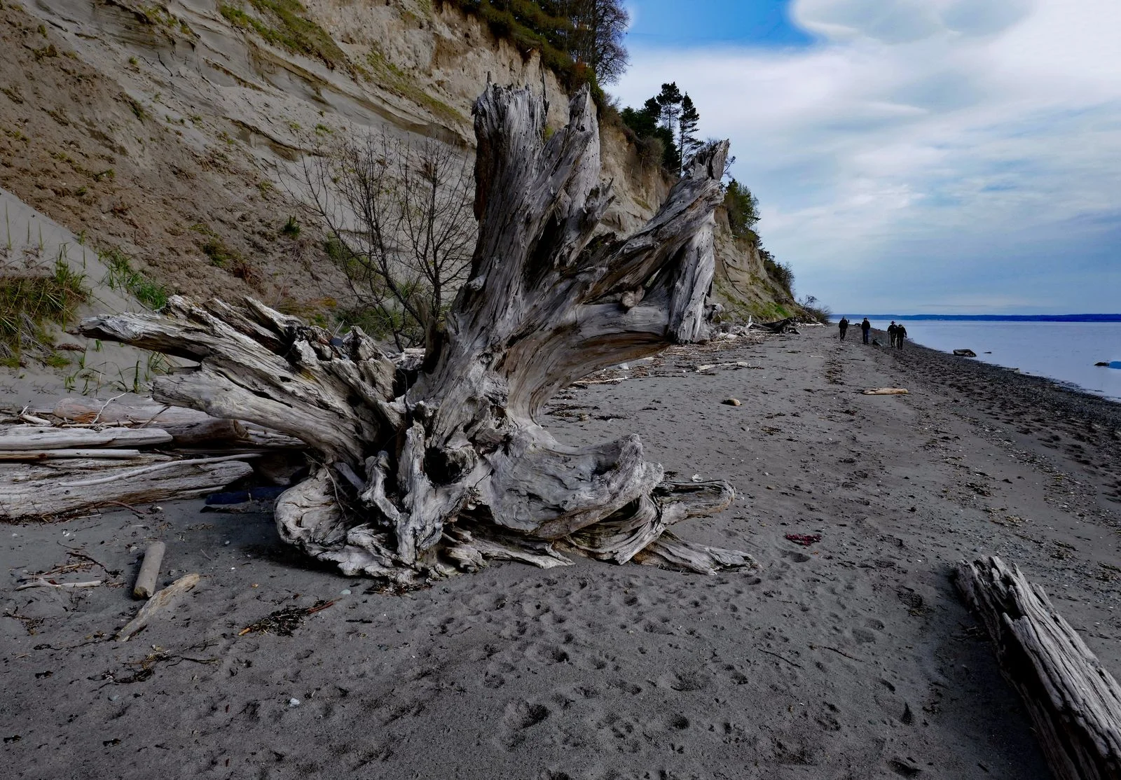The trail is along the beach at low tide