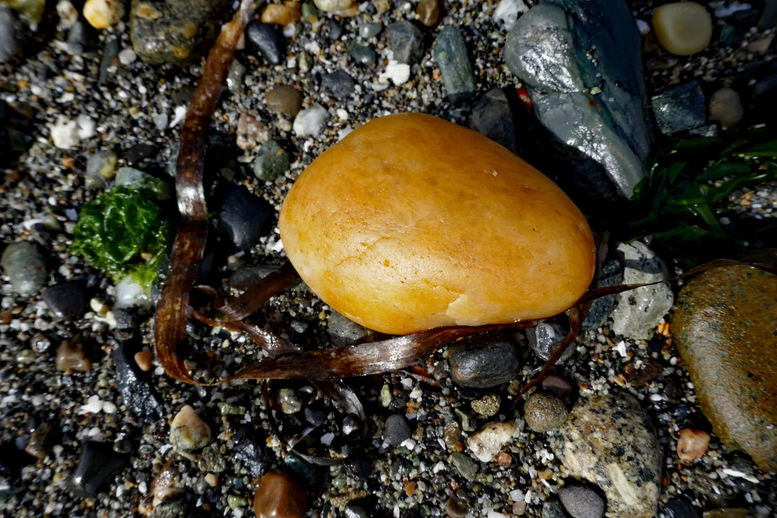 One of the more colorful rocks on the beach