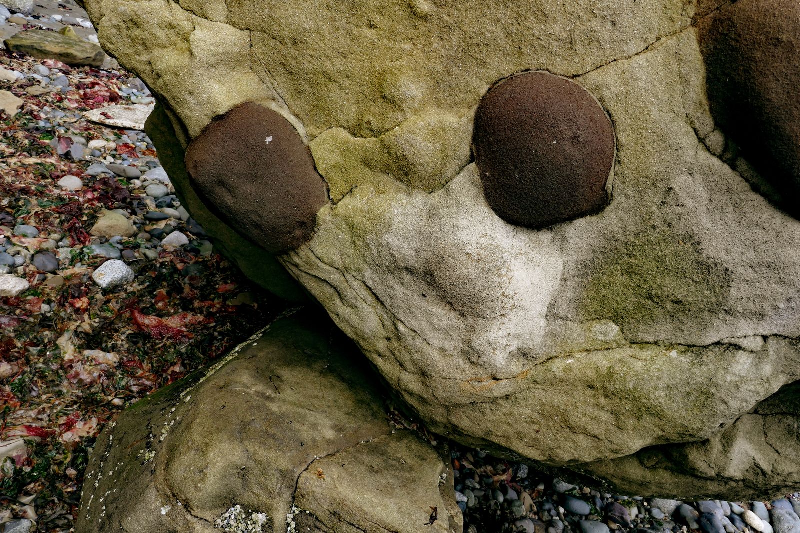  Looks like Gumby laying on the beach 