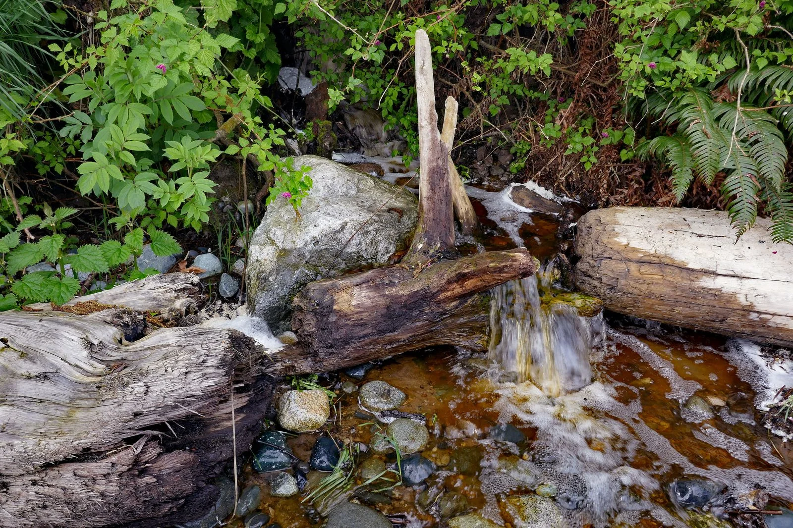 A little waterfall on the beach