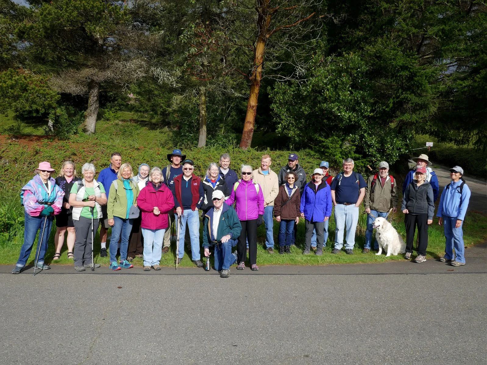 All the hikers but one