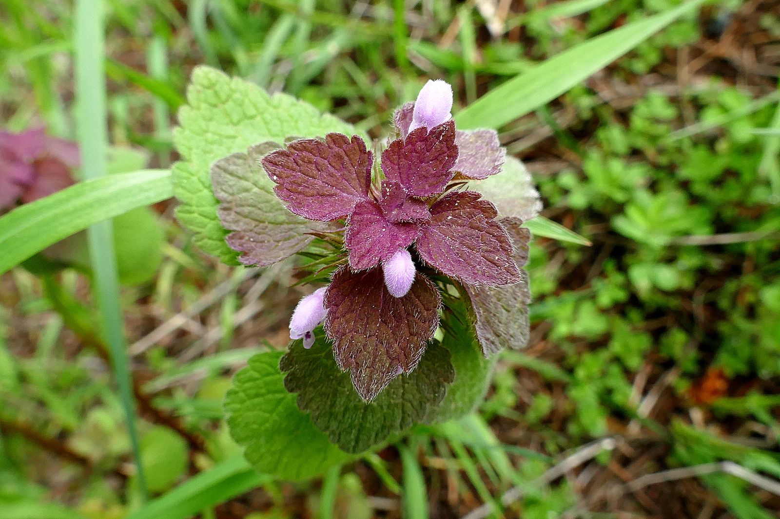  There were some pretty flowers along the way 