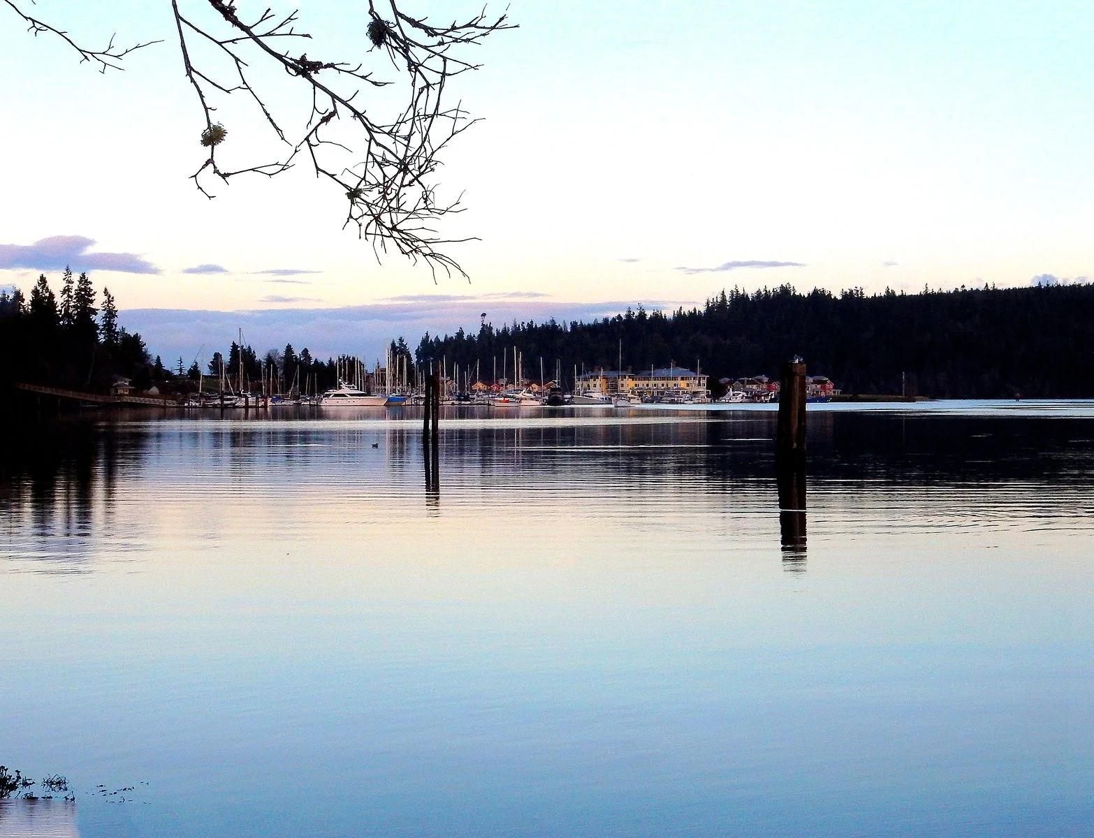 The view of Port Ludlow marina from Picnic Point