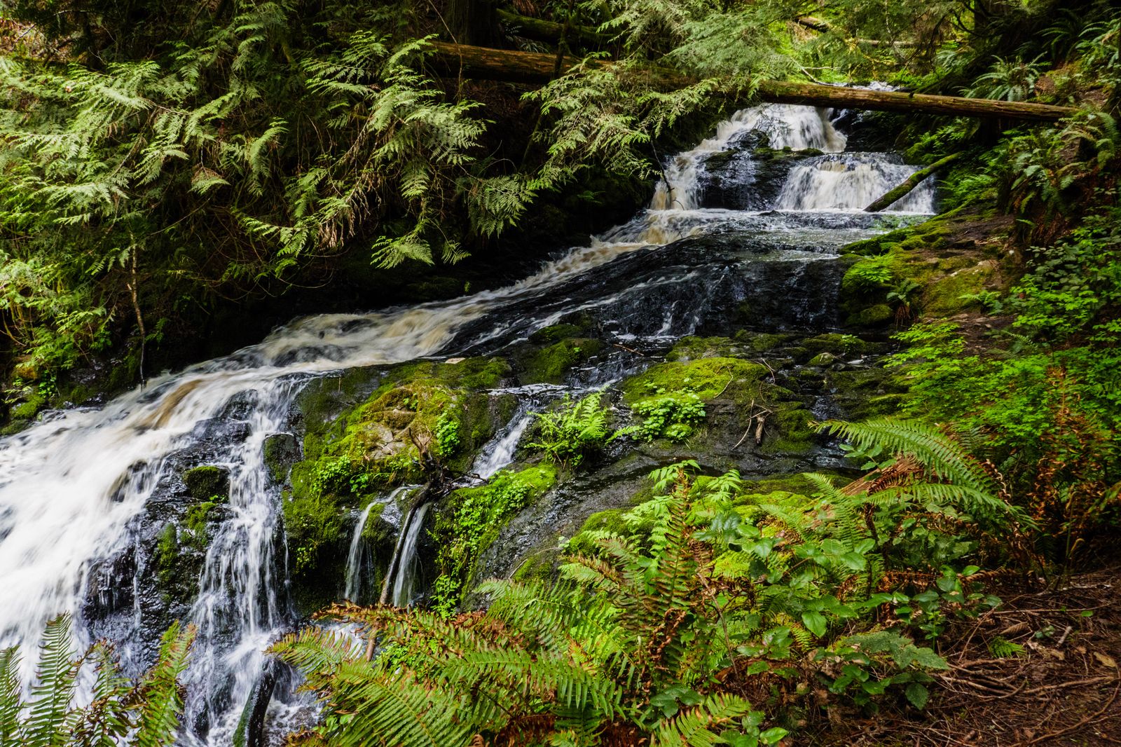  Ludlow Falls with lots of water 