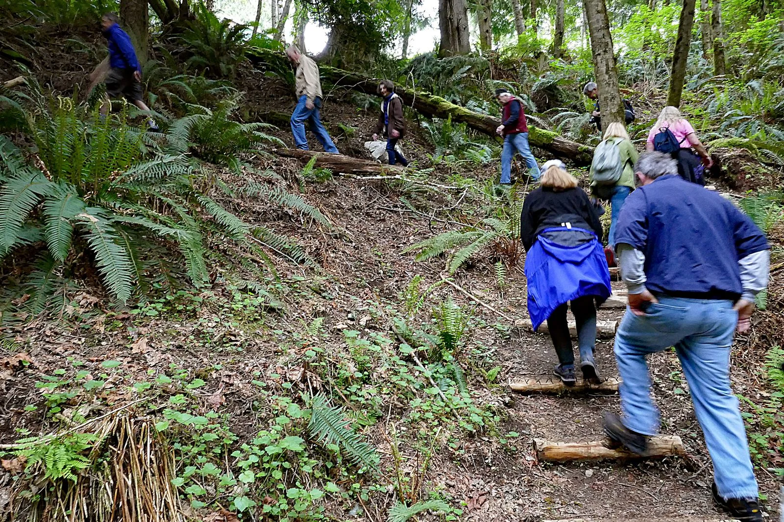 The half mile Osprey Trail includes 226 steps