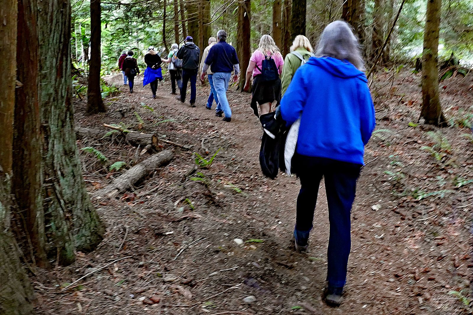  Unlike the Osprey Trail, the Talbot Trail is mostly flat 