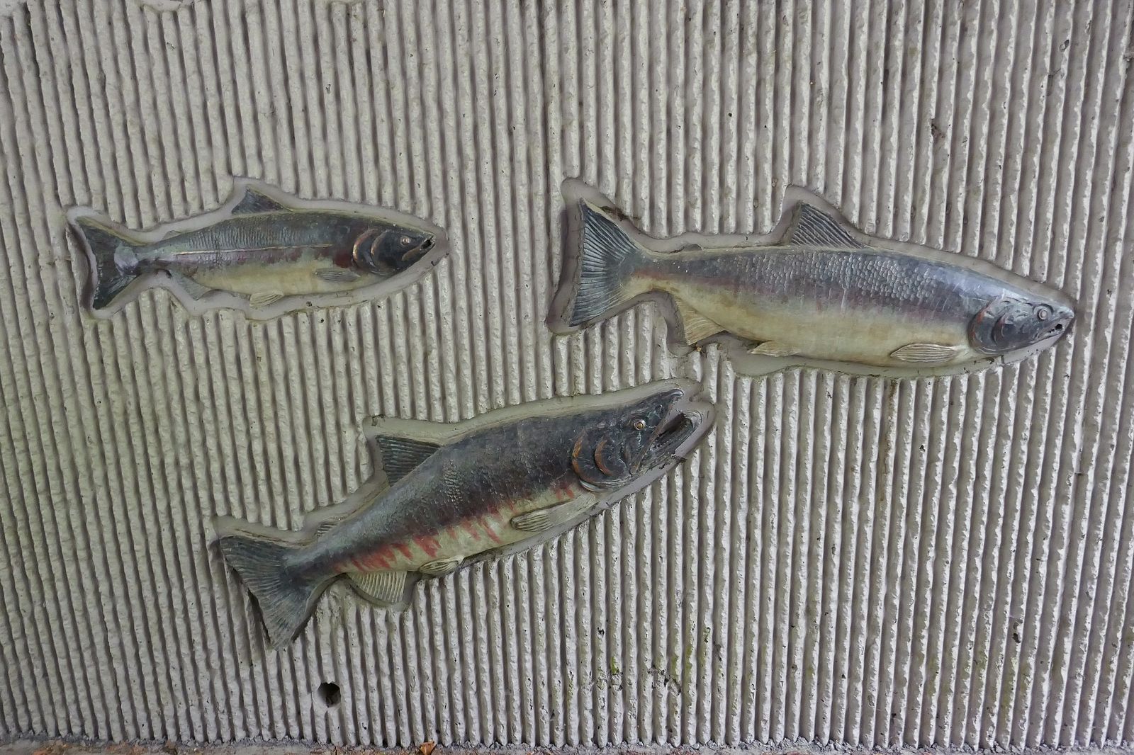 When big enough return to a river