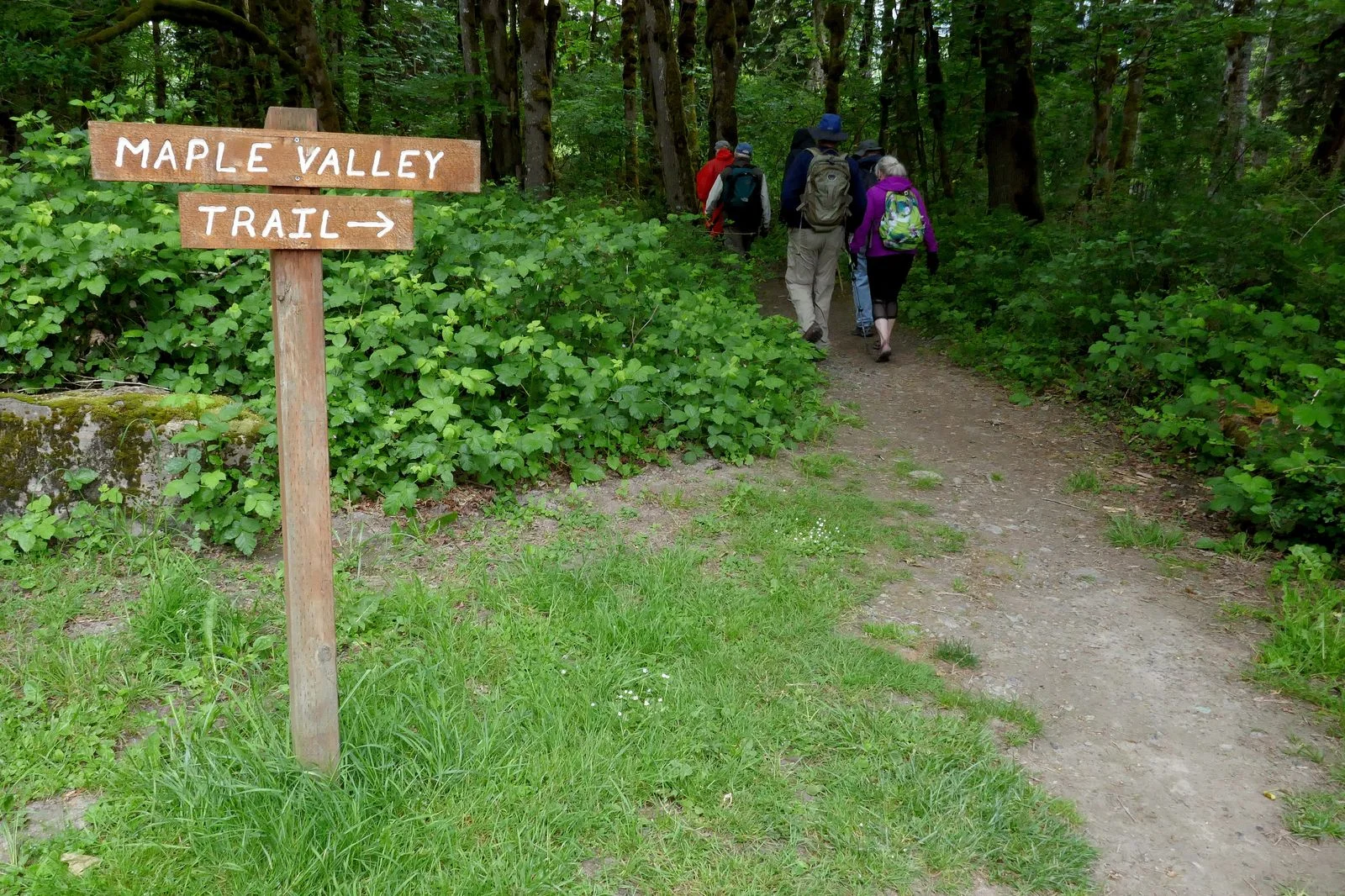 We reach the Maple Valley trailhead