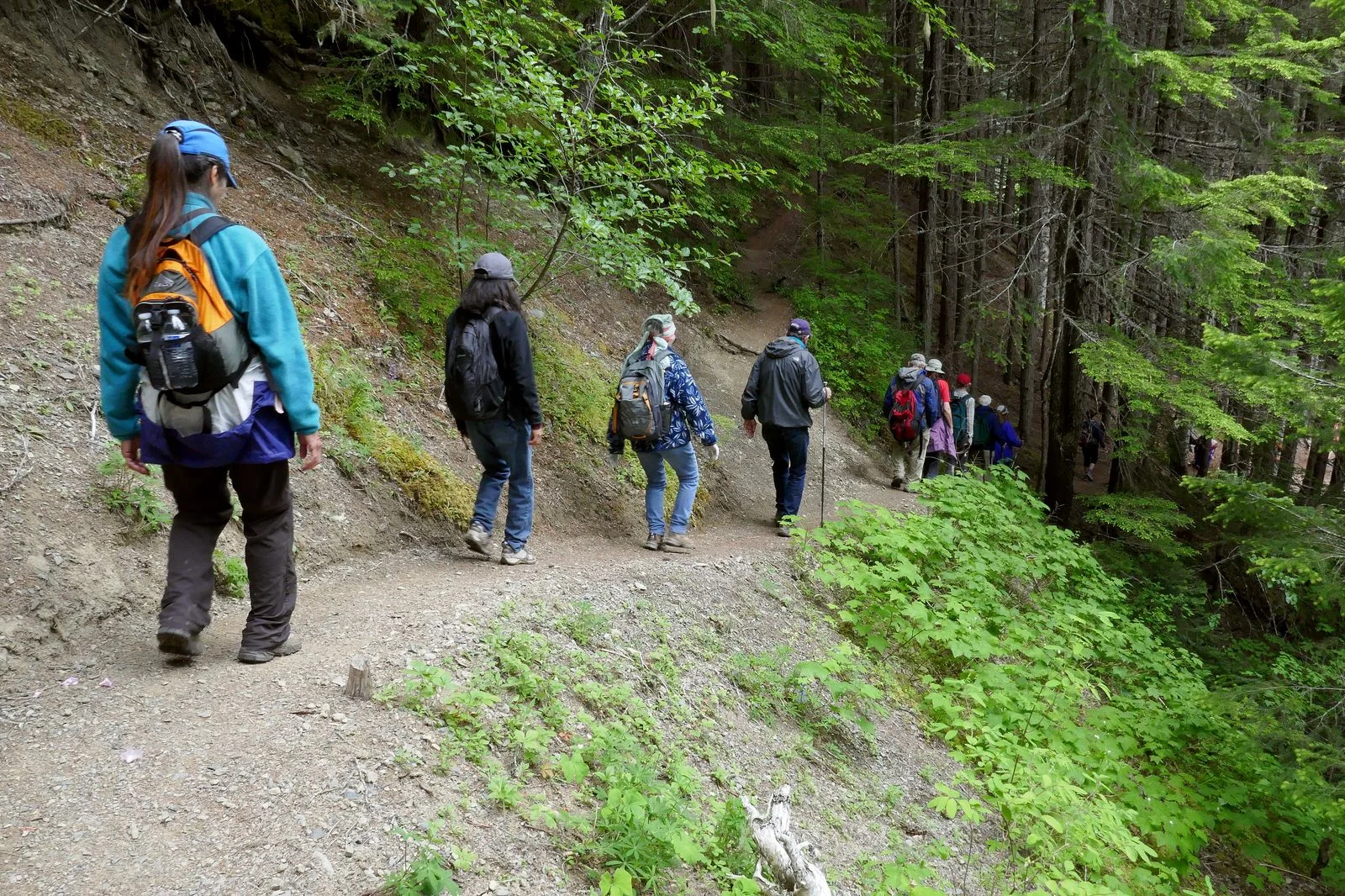 Going down is ok, but we have to come back up the same trail