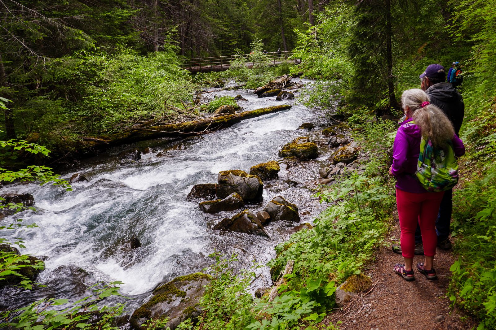 Denny and Merrily pause to admire the river