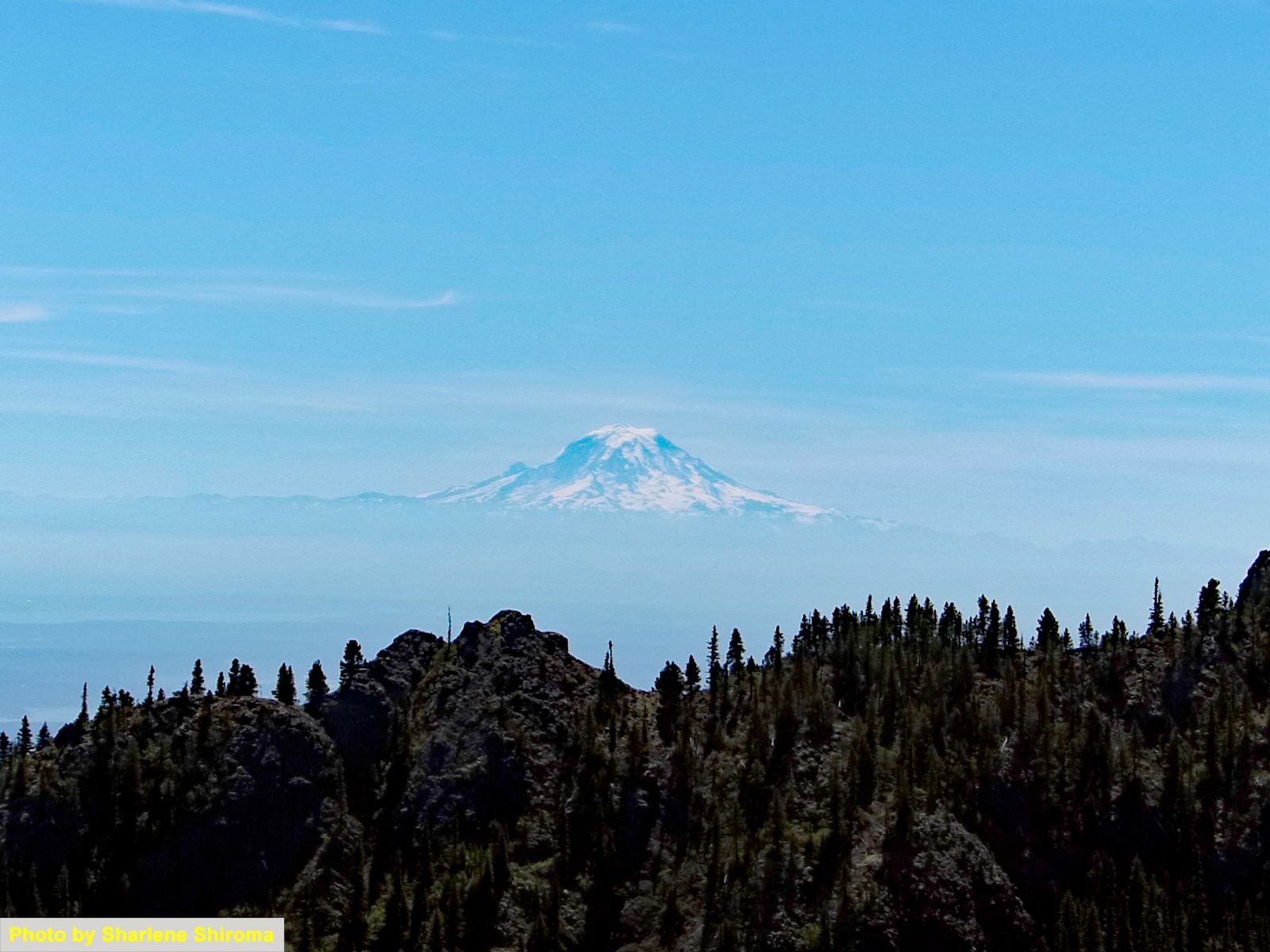  Mount Rainier 