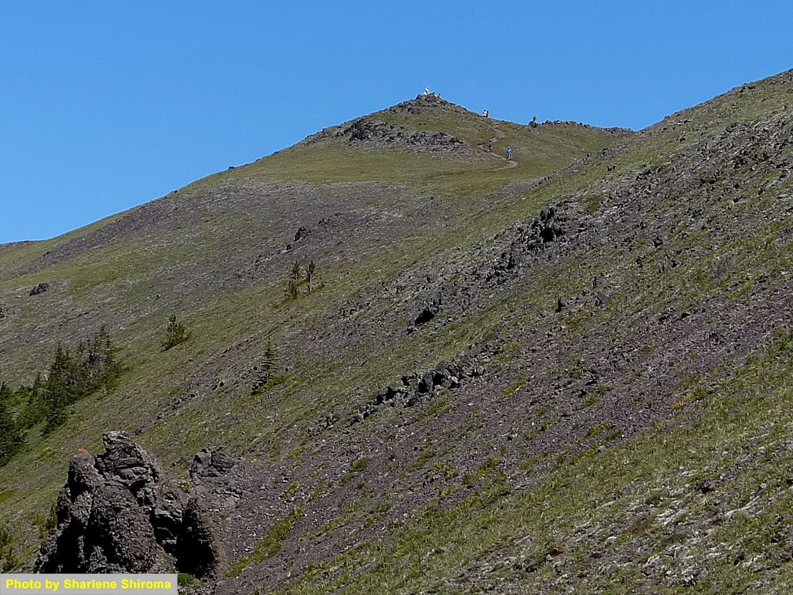 The top of Mount Townsend is within sight