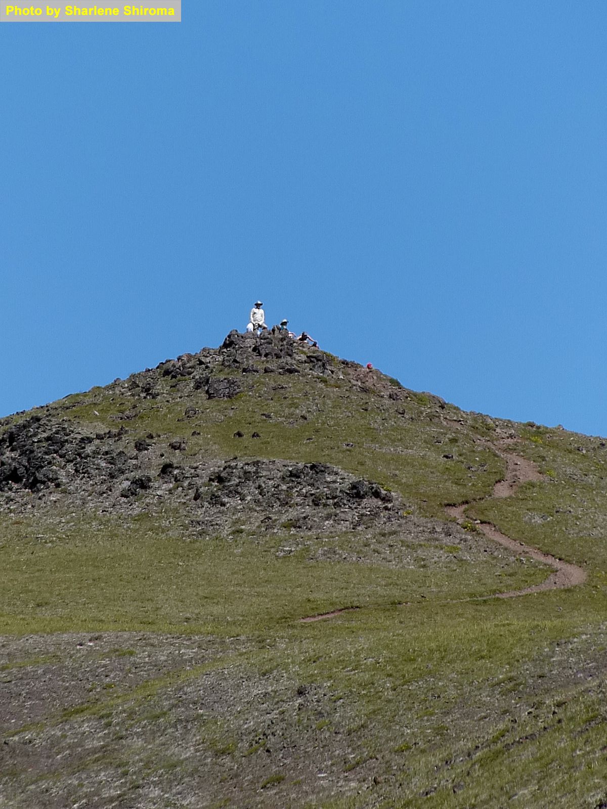  Some of the group made it to the top 