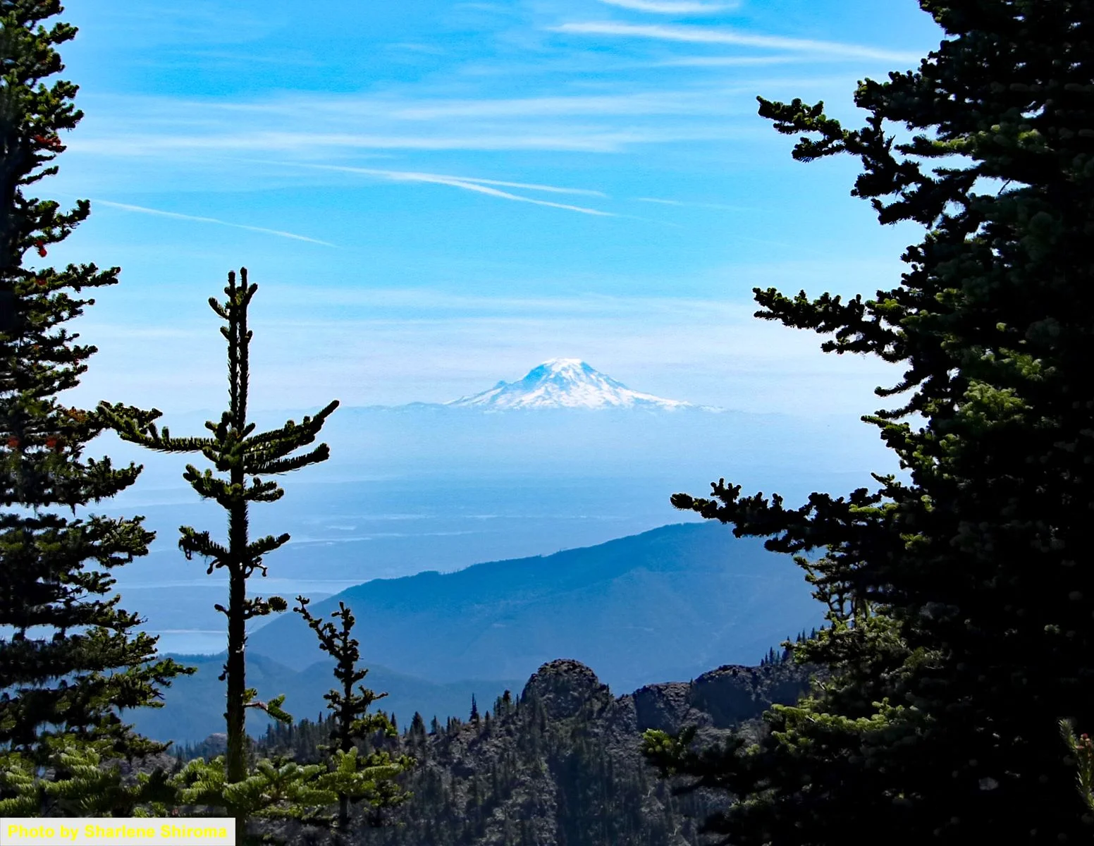 One of the last views of Mount Rainier