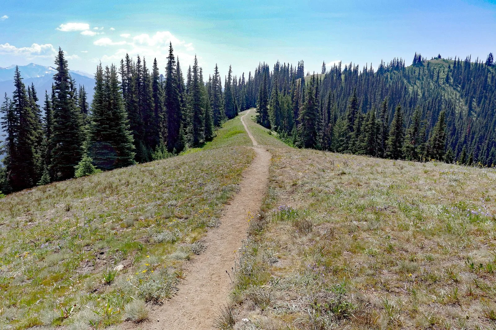 The trail is easy to follow