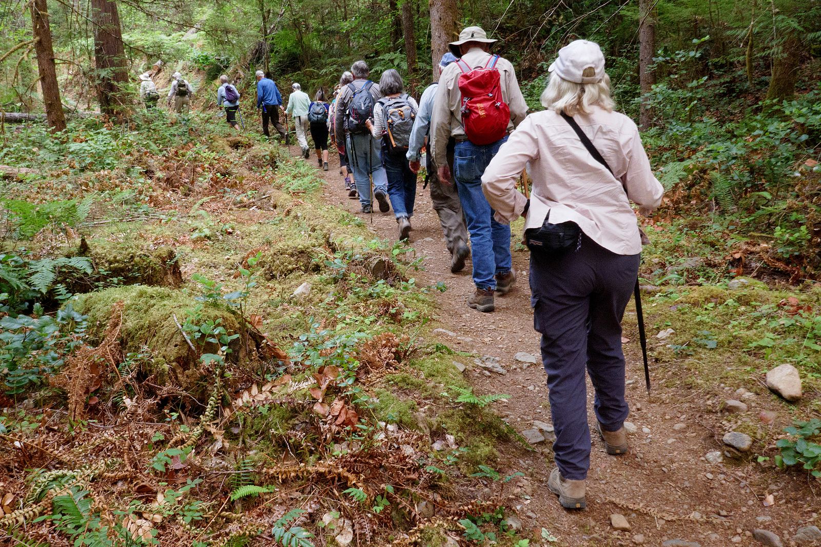 The hike begins