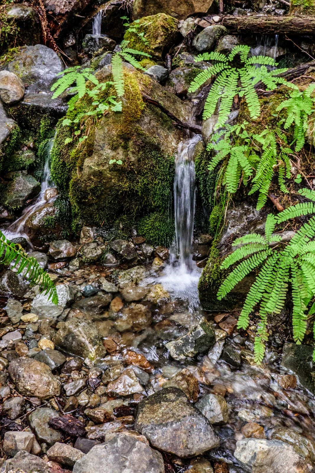 A little waterfall along the way
