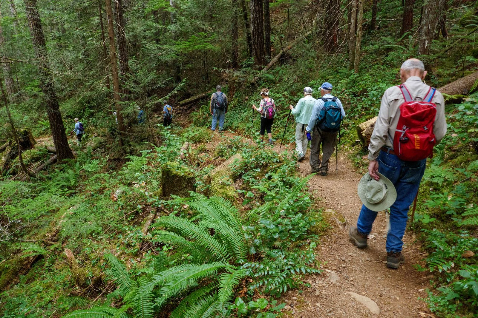 The hike begins with some downhill