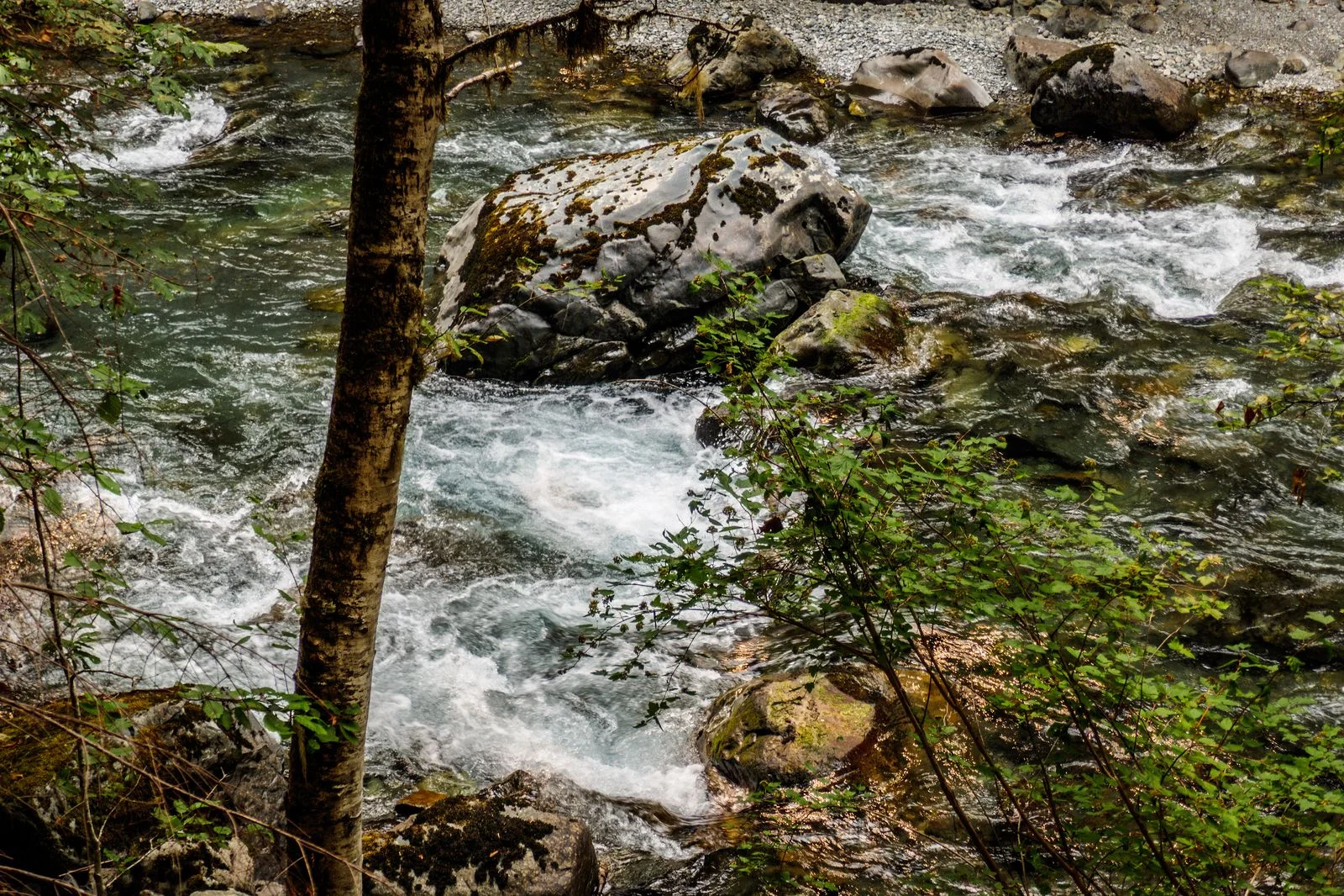 The river was running strong