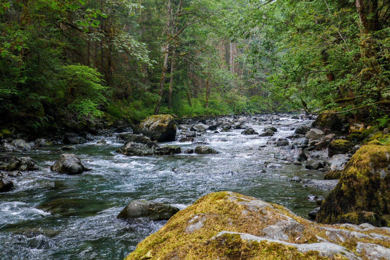  The river looks and sounds great 