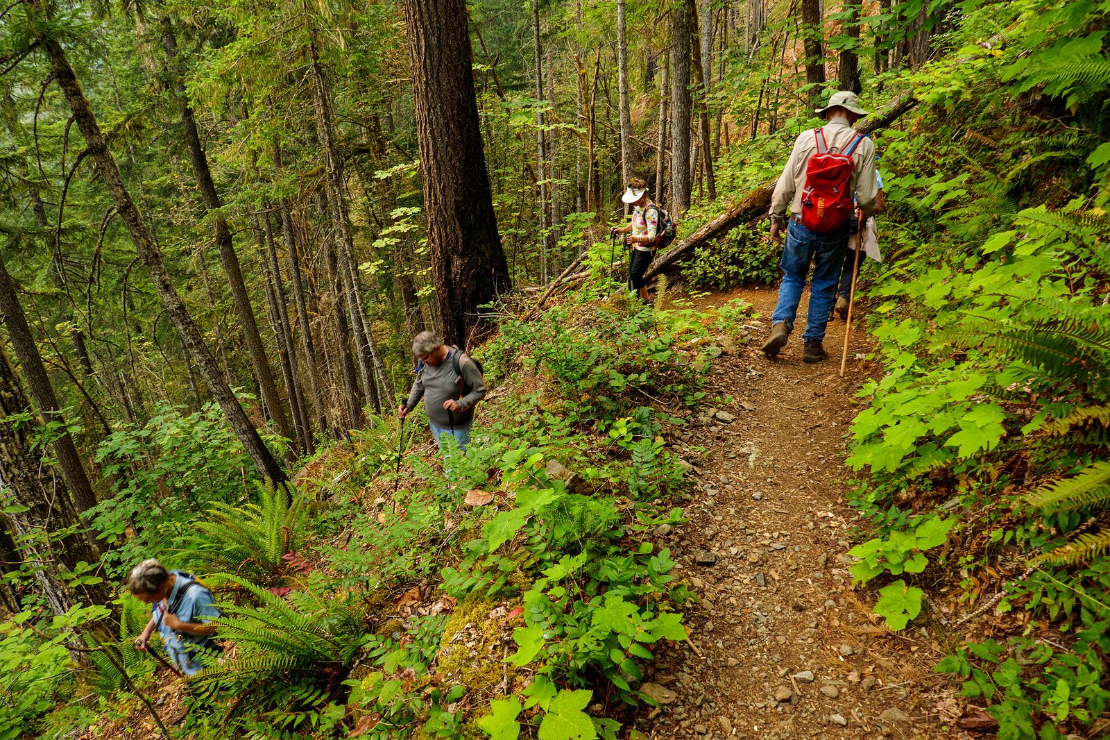  In places the trail has multiple switchbacks  