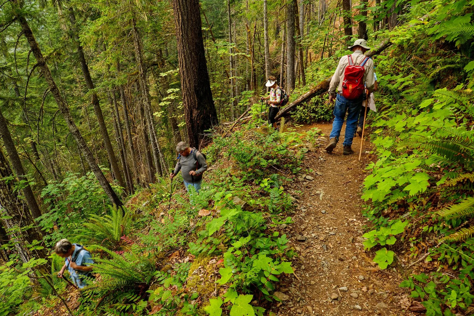 In places the trail has multiple switchbacks