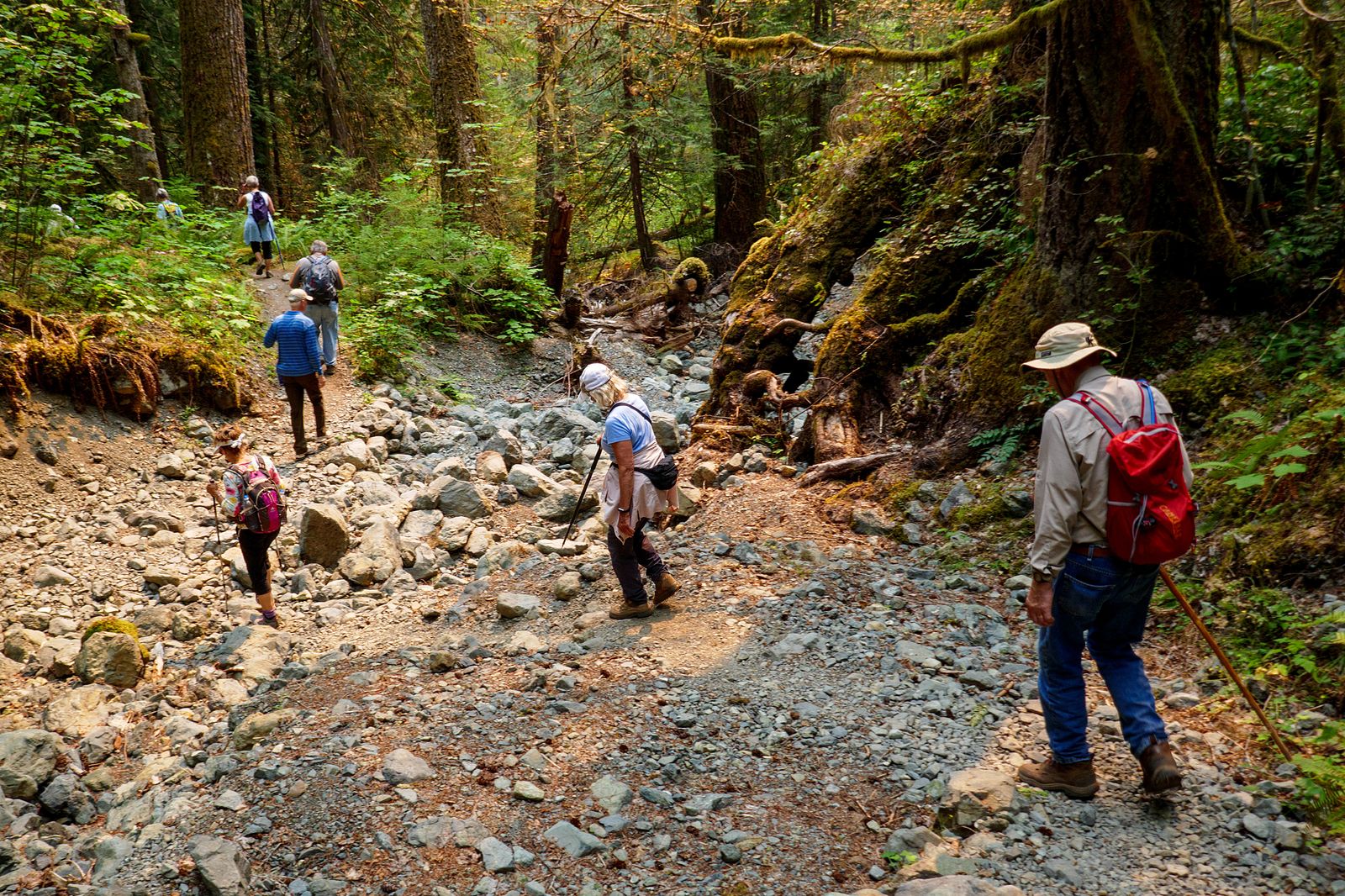  The creeks running into the river were mostly dry 