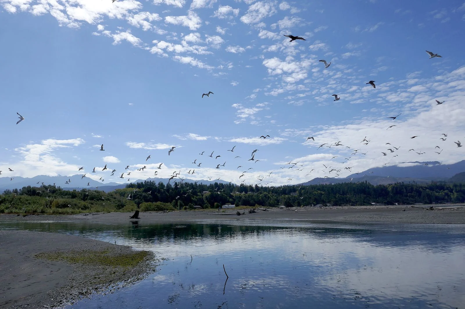The Elwha River