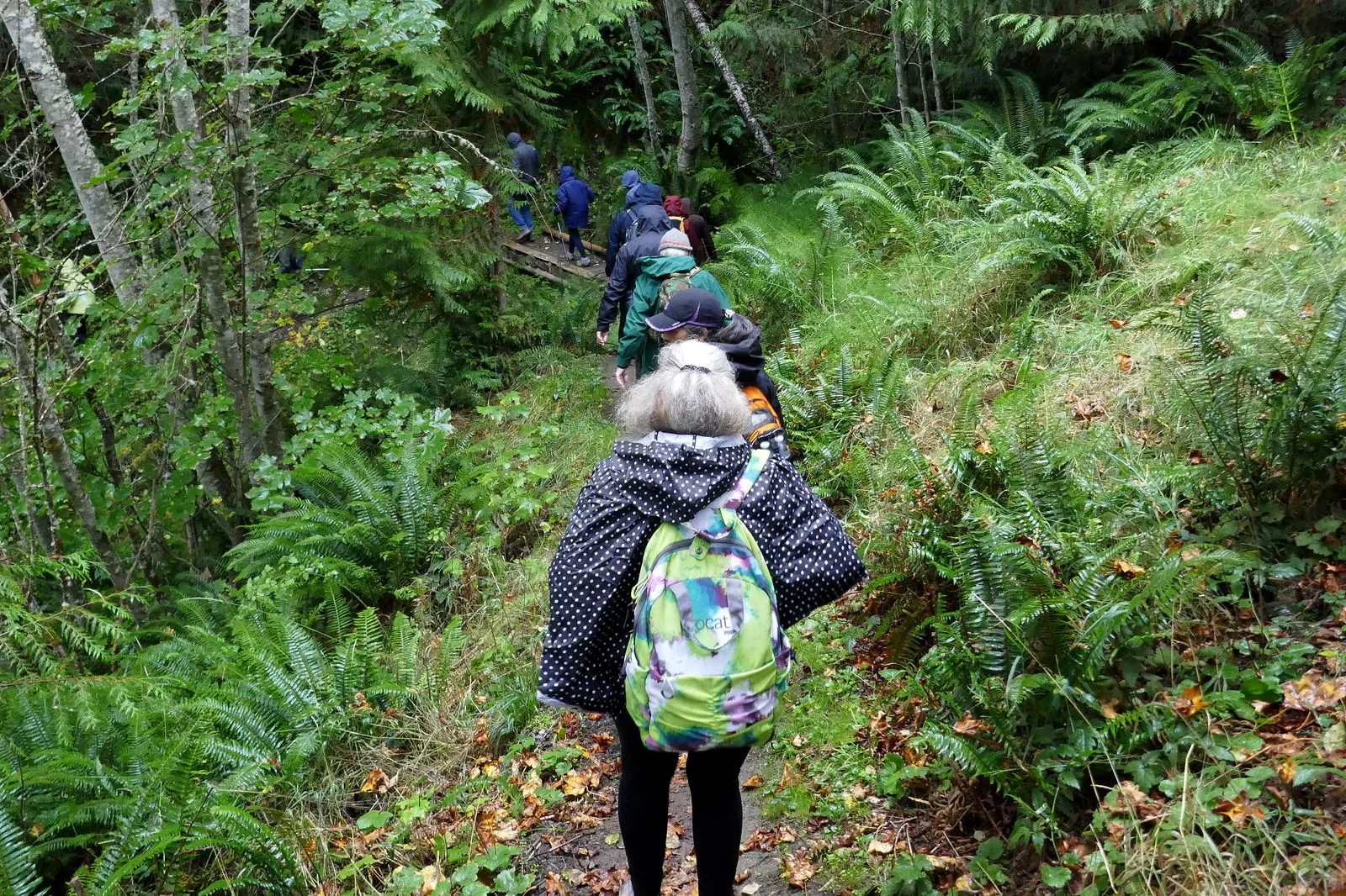 The hike begins