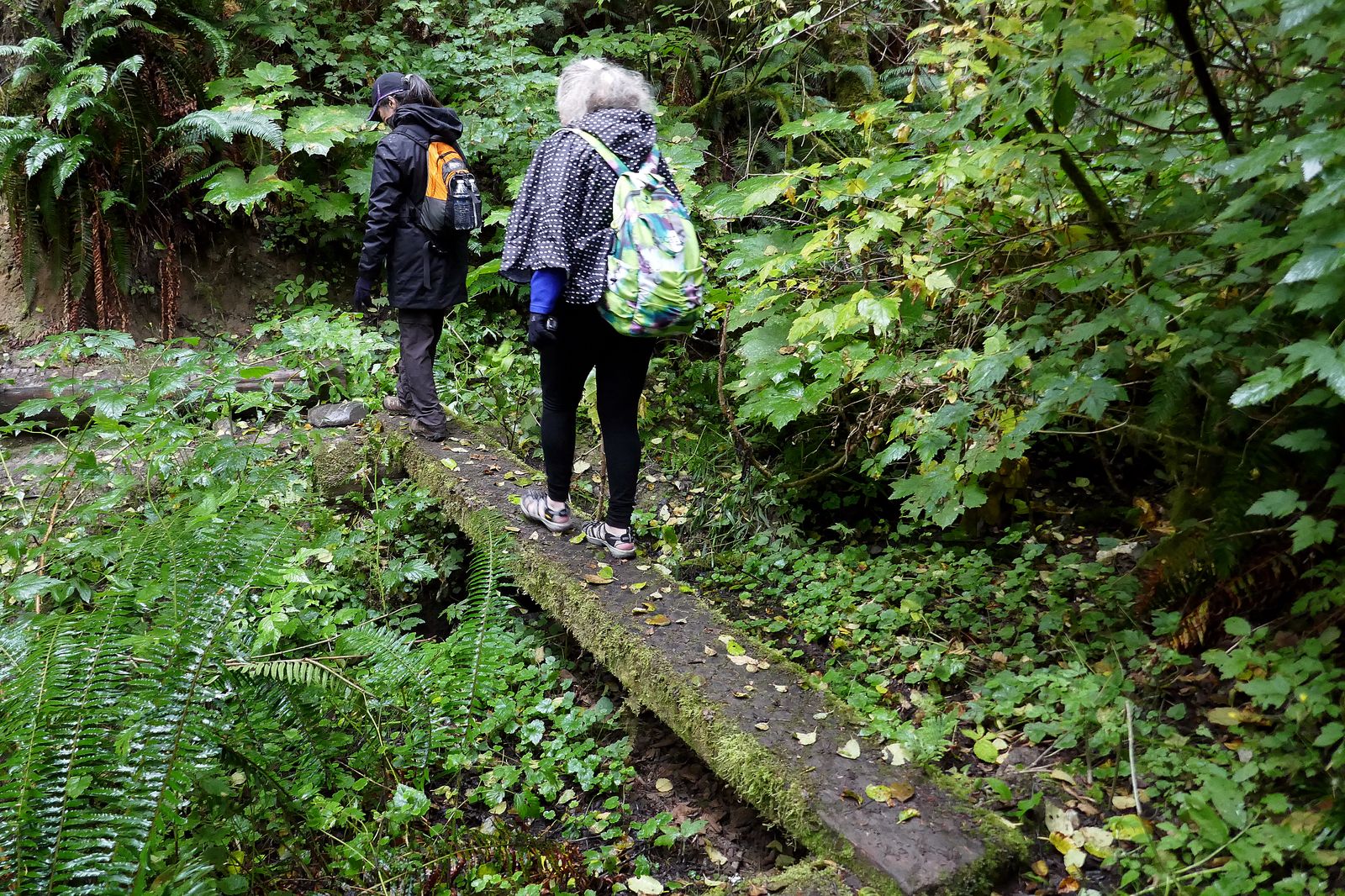 In places the trail requires some balance