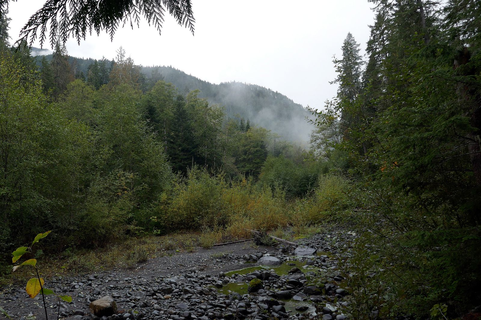 I like how the clouds hang in the trees