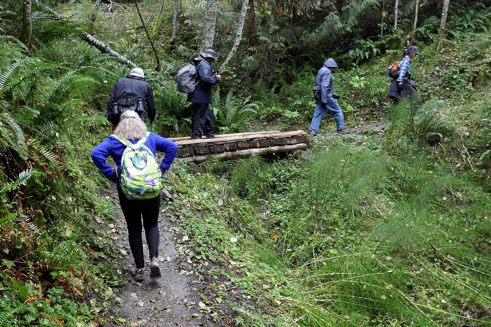 Our last bridge before we make it back to the trailhead and the drive home
