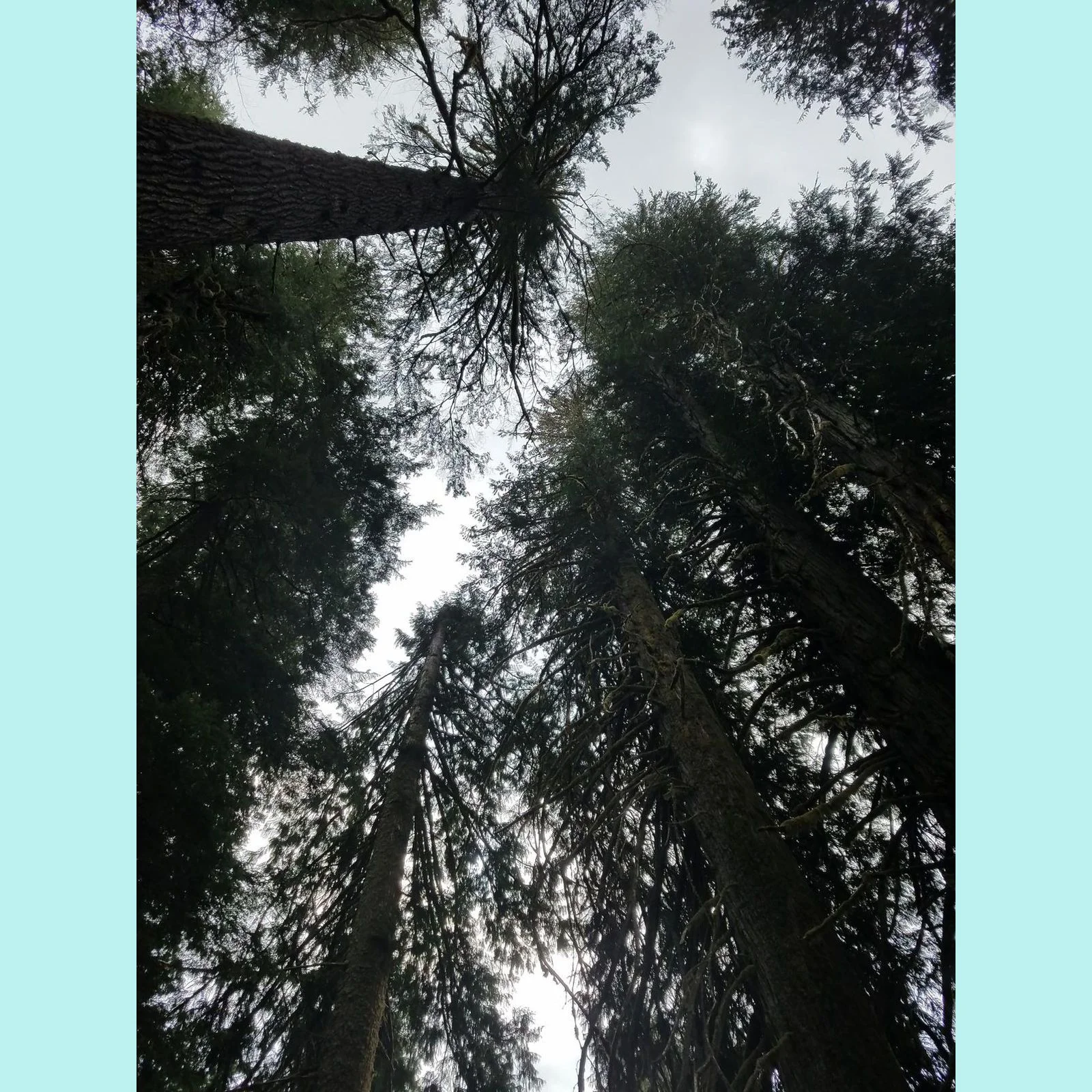 Being Looked Down on
