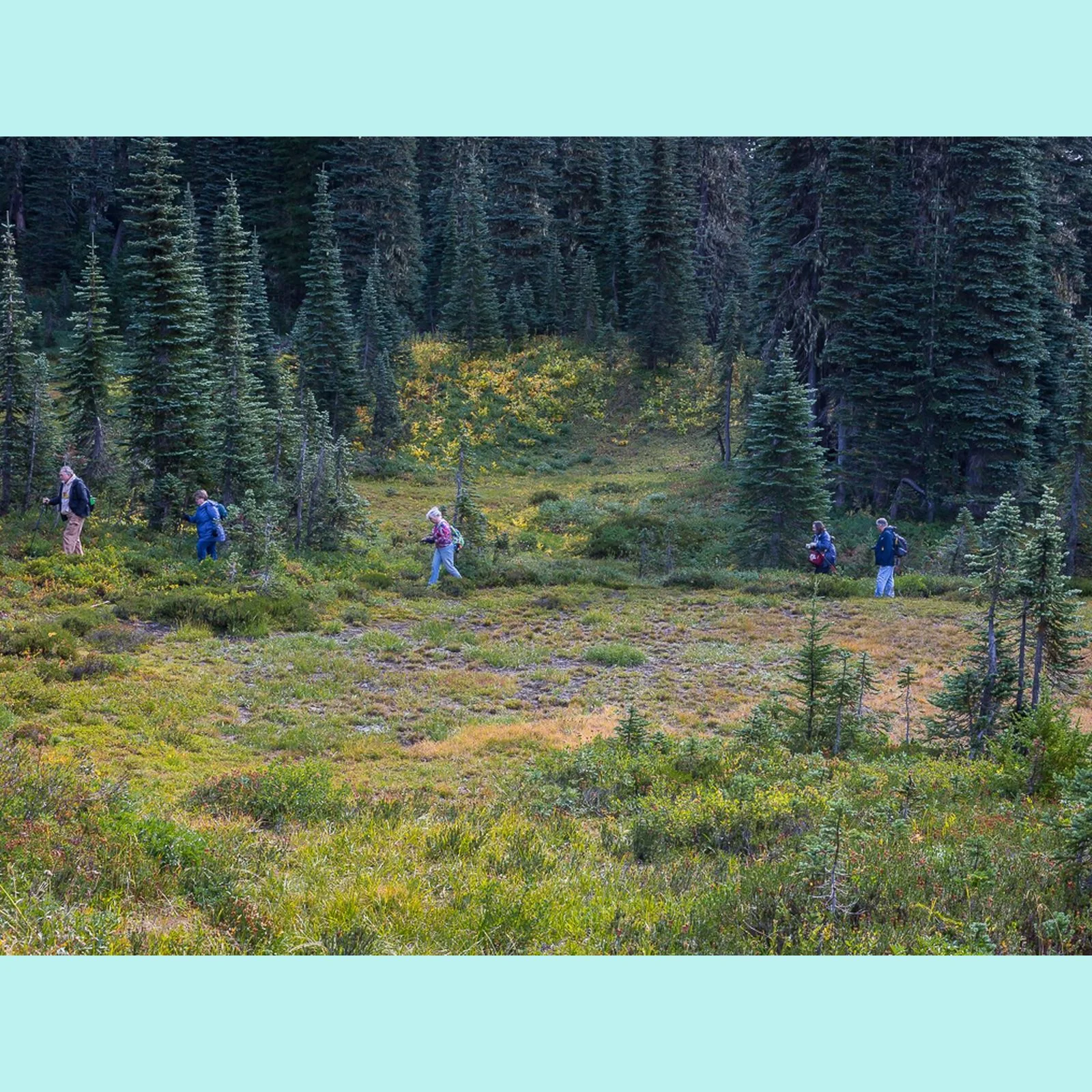 Vicki_005_Hikers.jpg