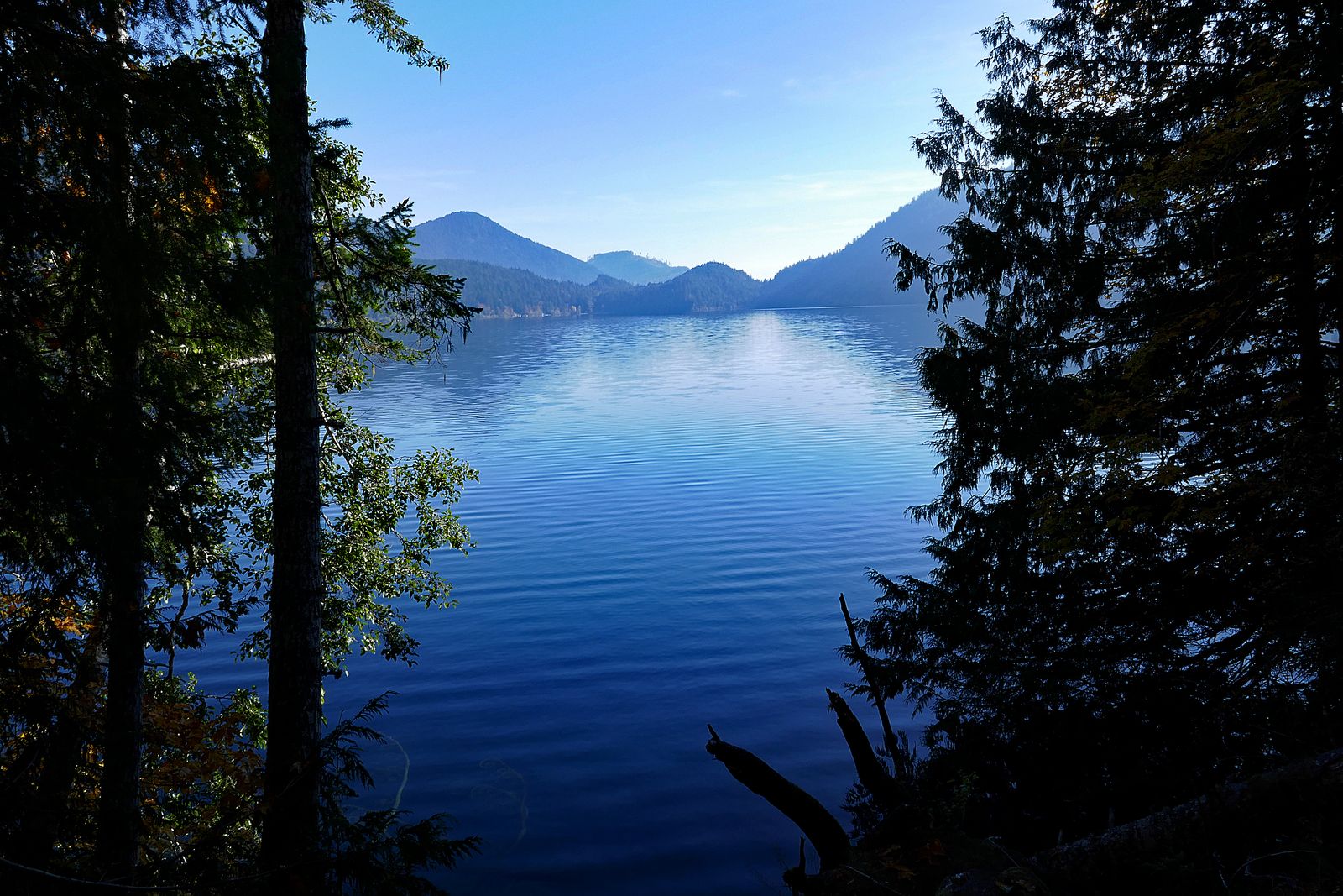 We hiked next to Lake Crescent