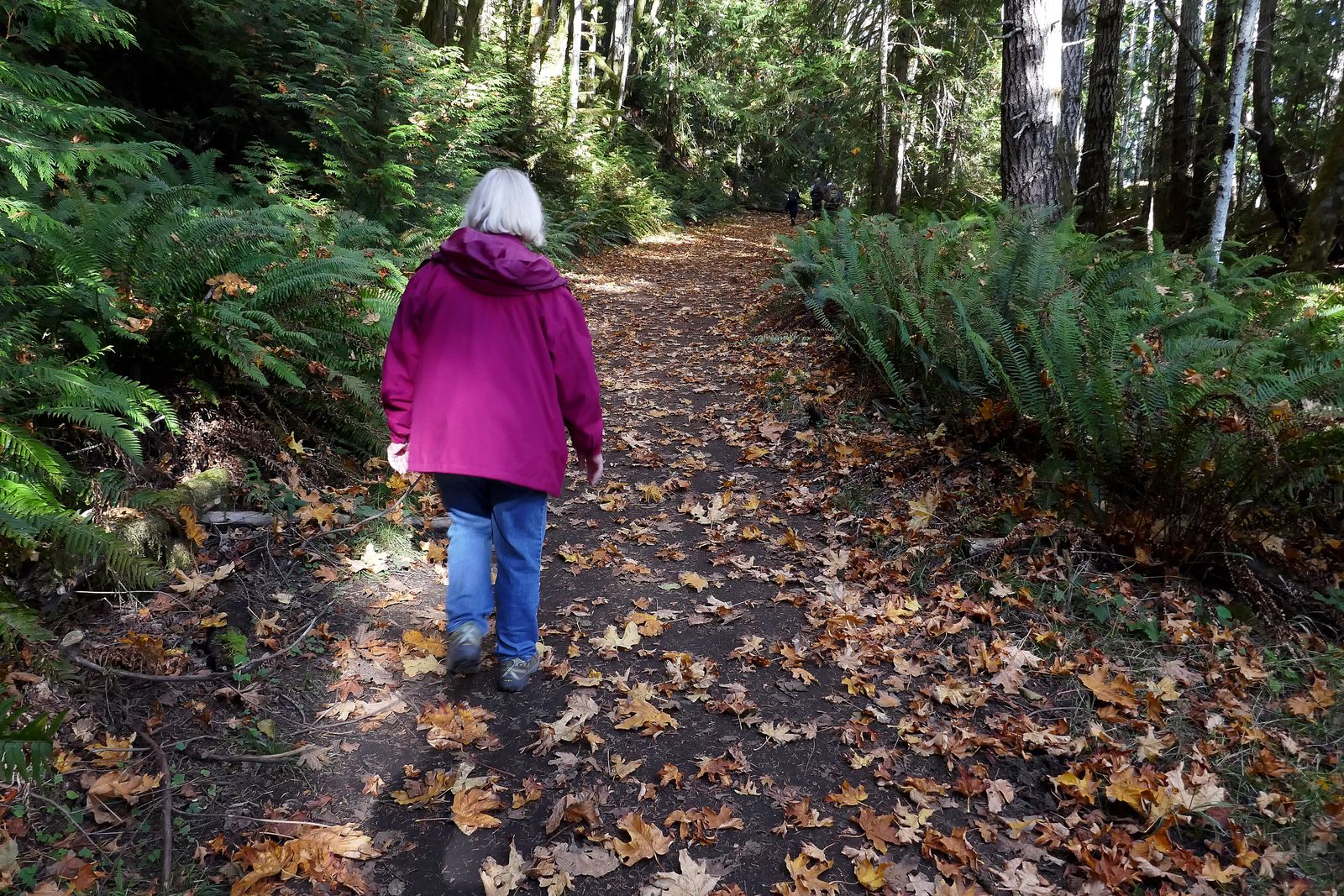 Doreen heading home on the yellow leaf road