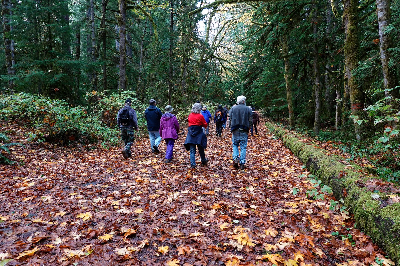 Hike number two begins – note all the fall leaves