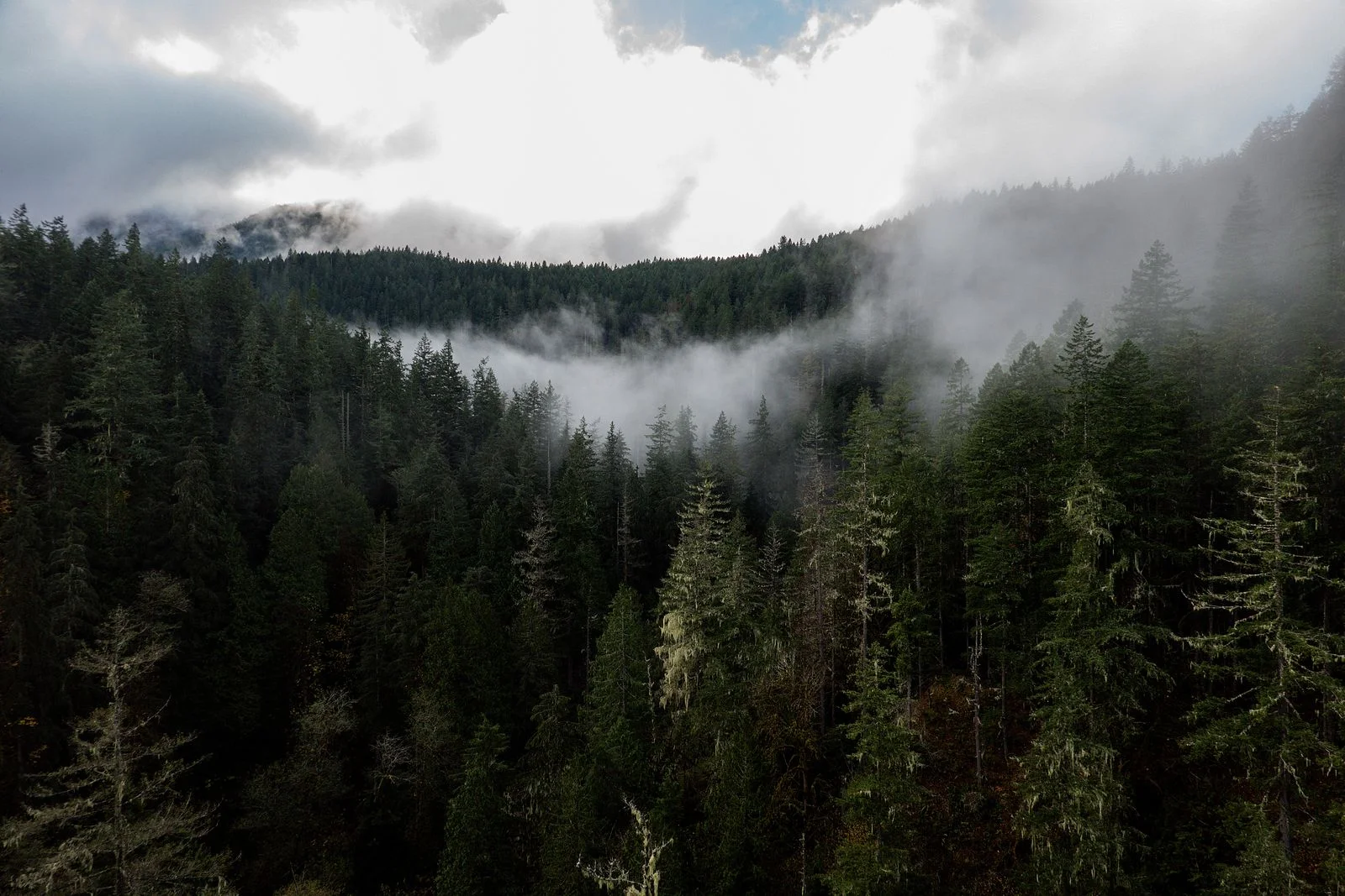The mist over Falls View Canyon