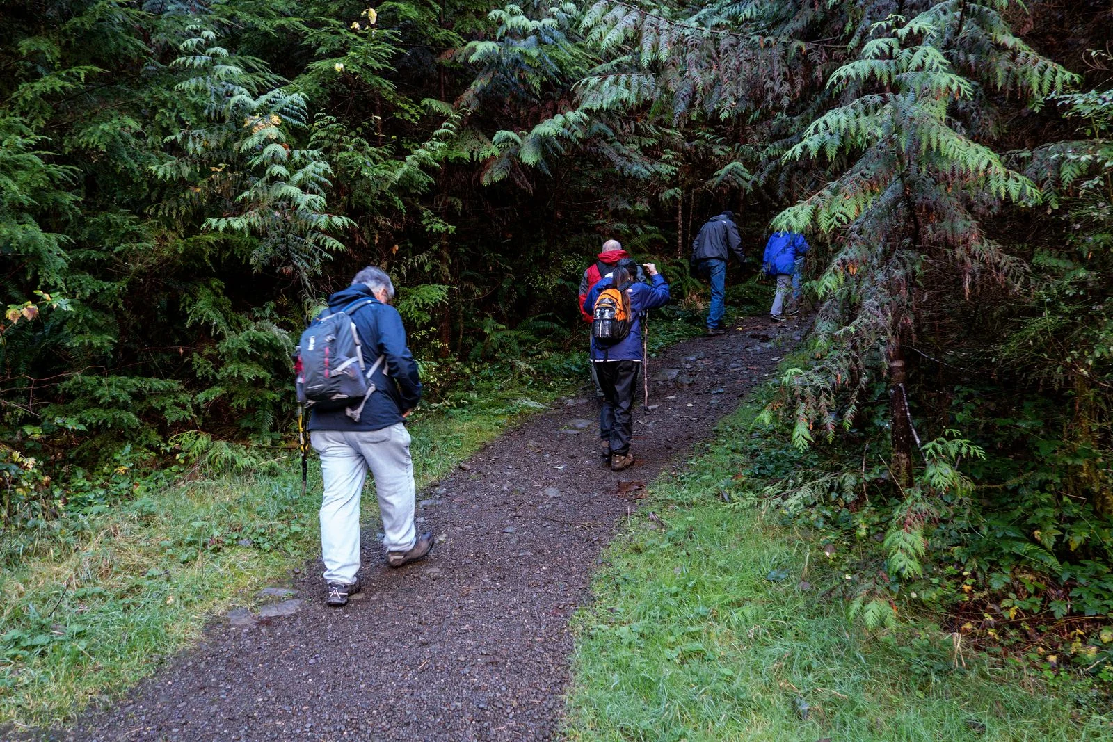 The hike to Murhut Falls begins