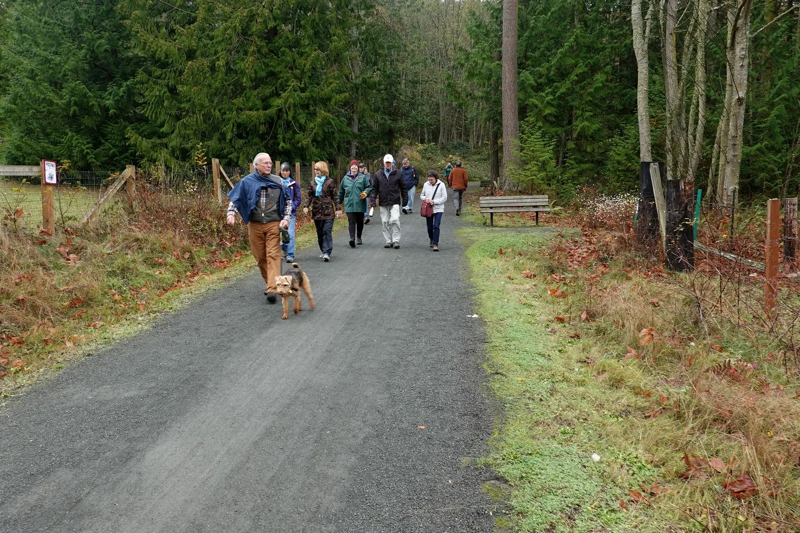 Larry and Dewey leading the pack