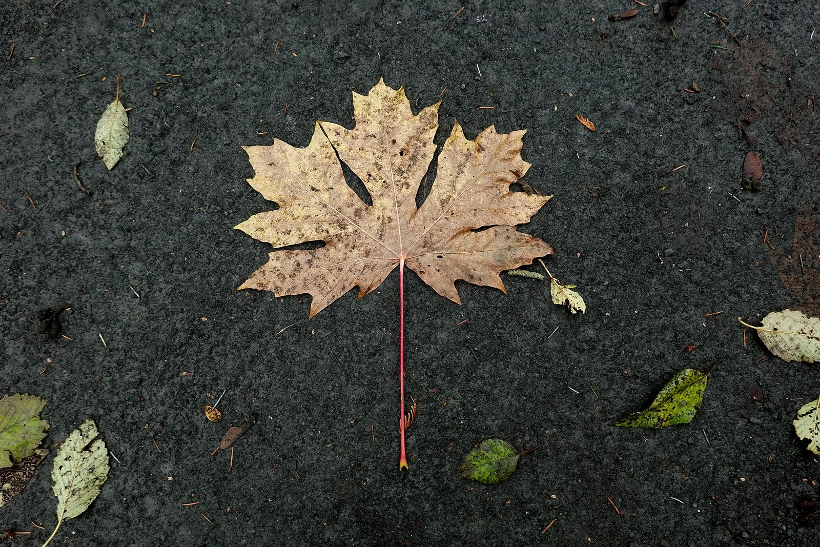 The end of the trail