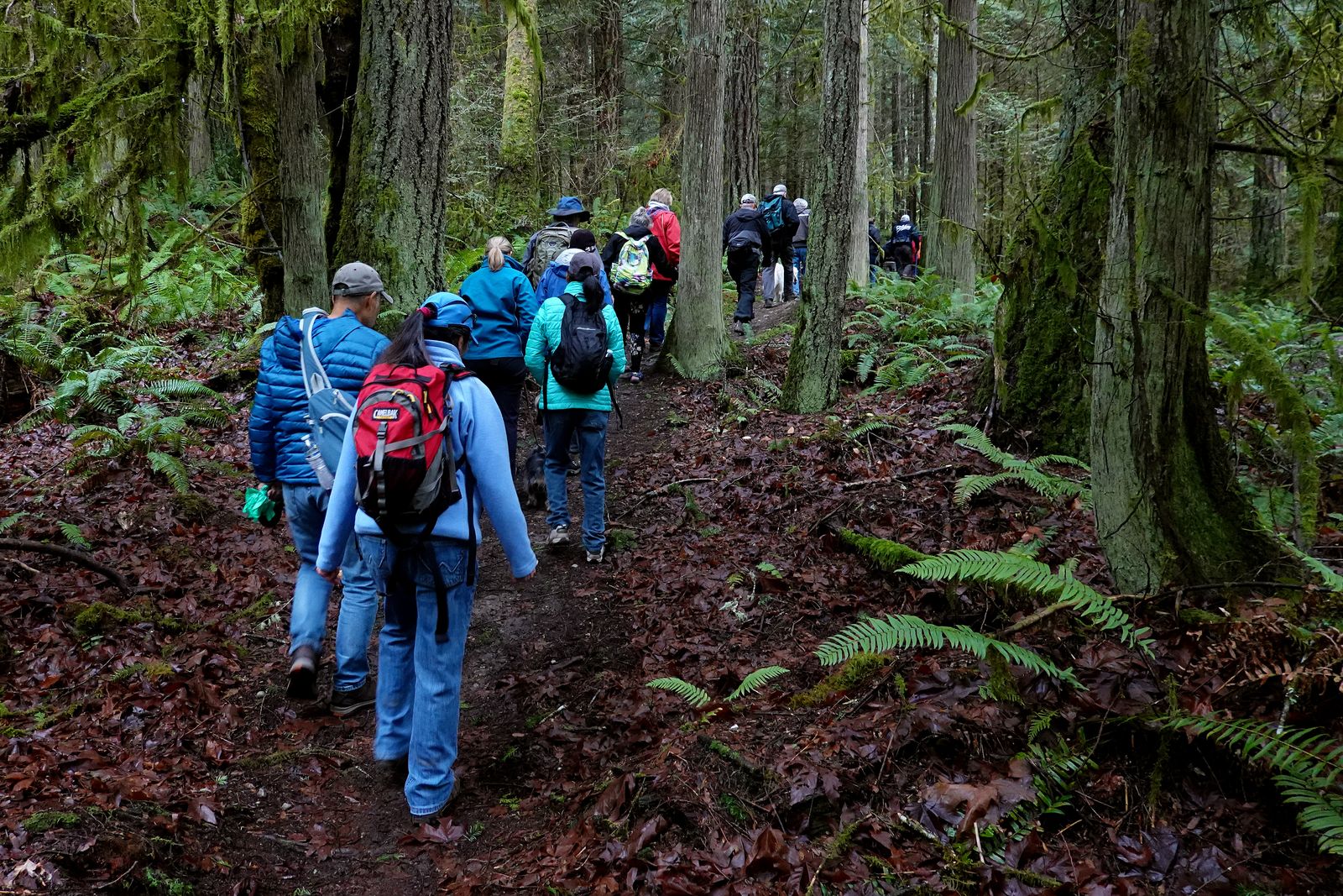 The hike continues through the woods