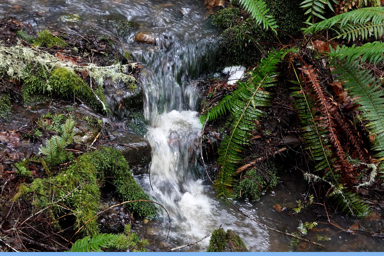 A small waterfall along the way