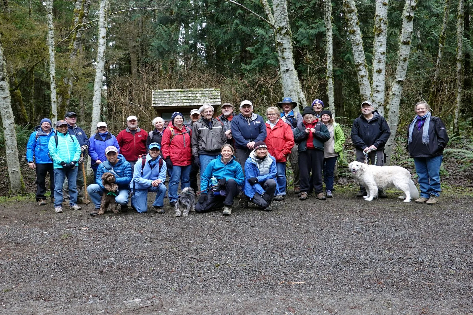 All the hikers but one
