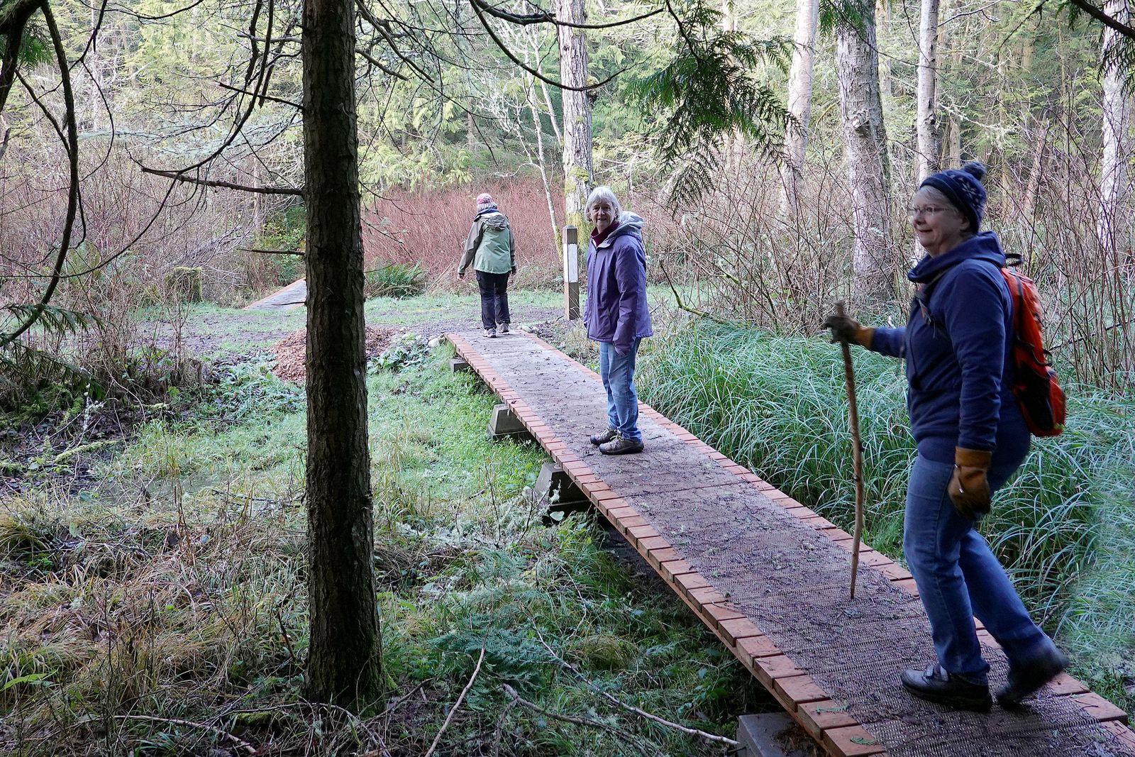 The trail cuts through the woods back to the parking lot
