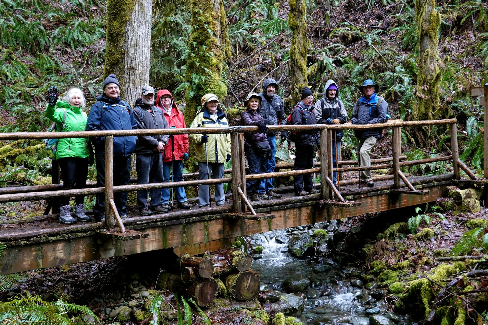 The hikers on one of several bridges