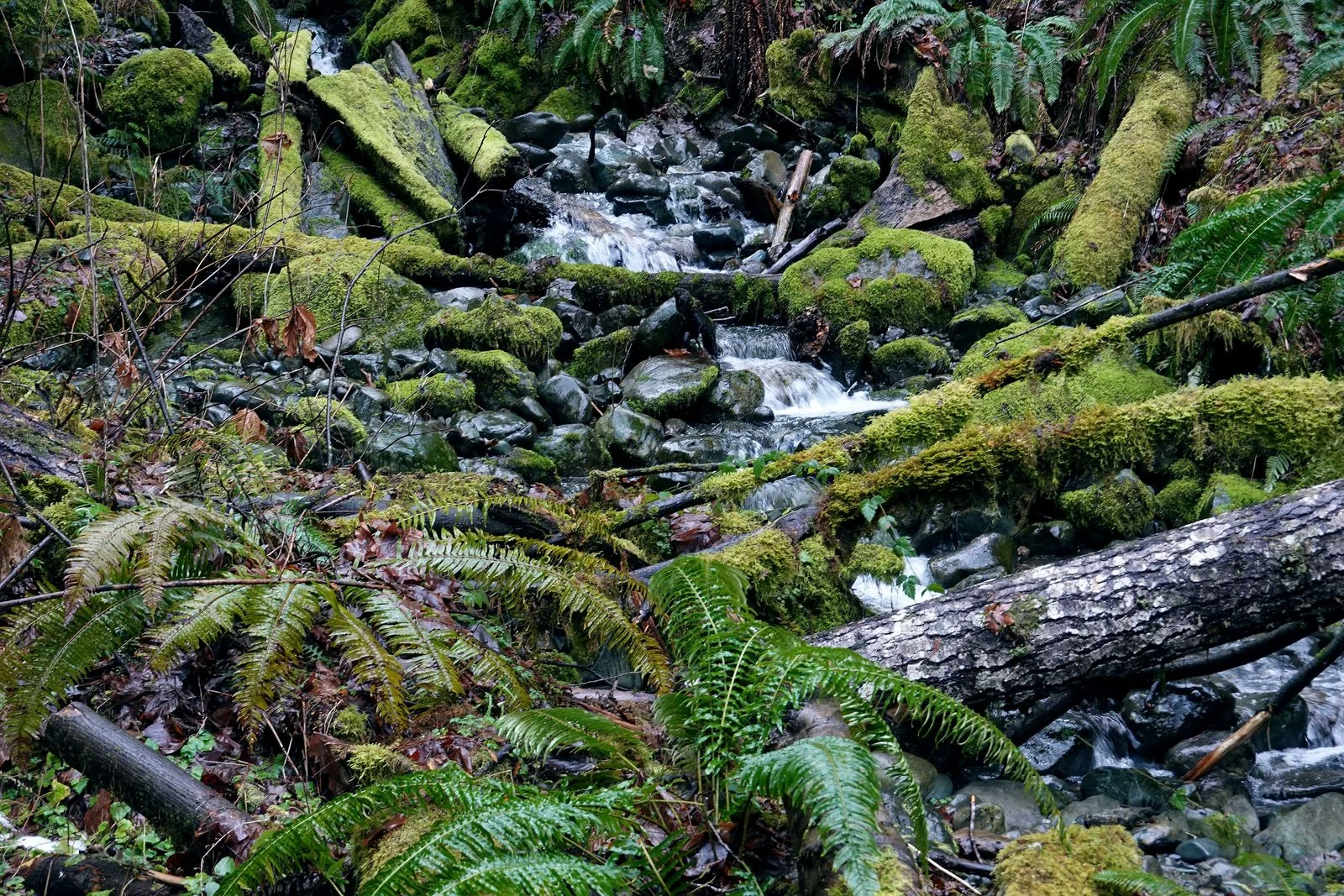 One of several nice sounding small waterfalls