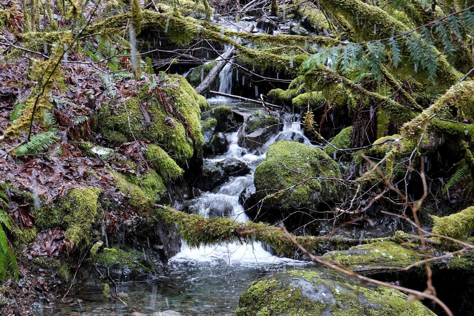 Another pretty little waterfall along the trail