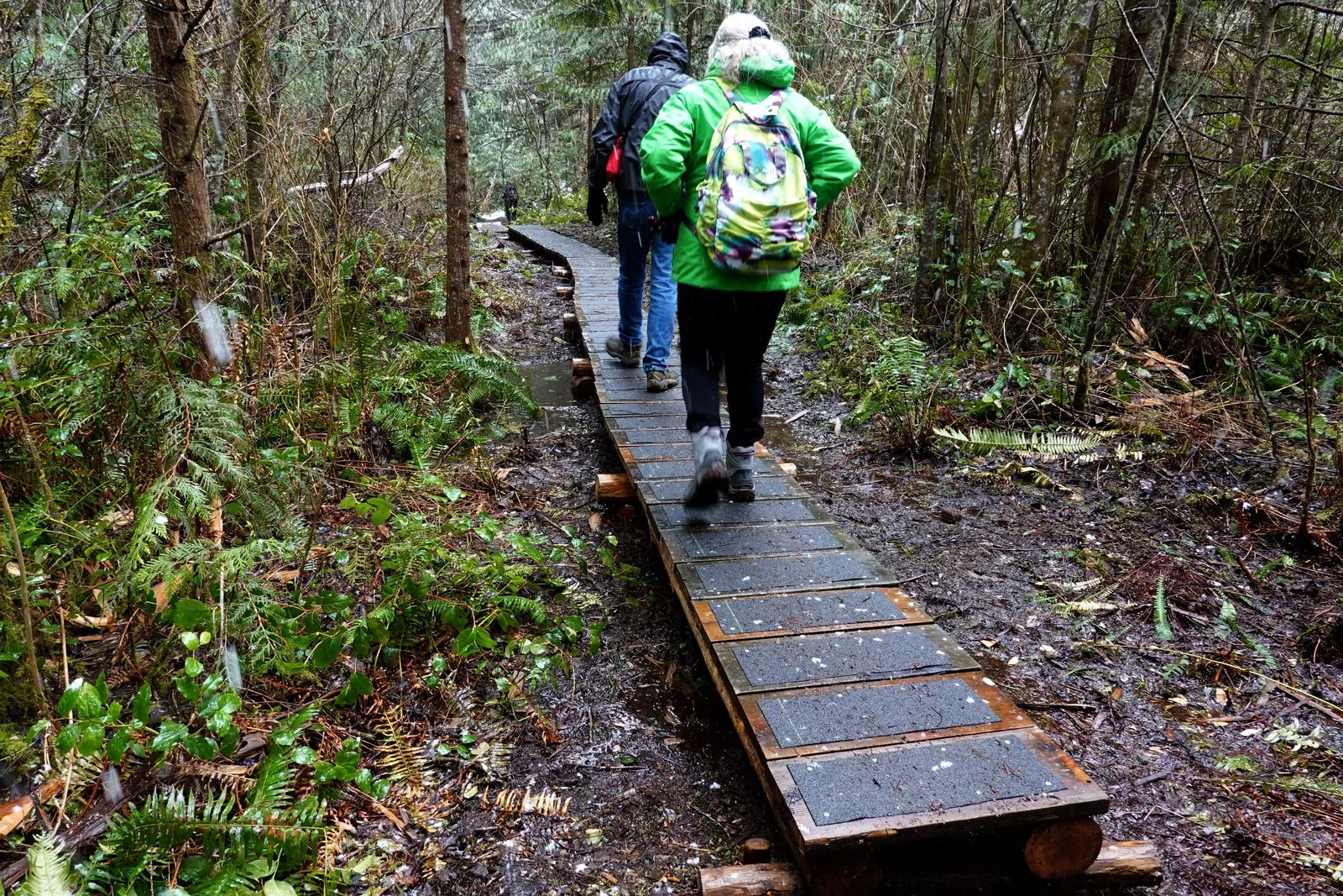 The trails are well maintained