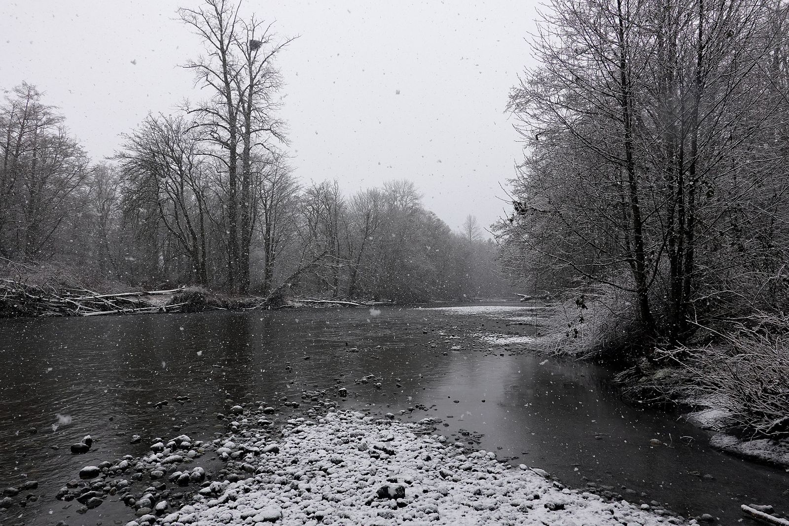 Last view of the Dosewallips River